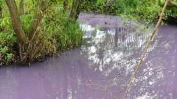 Une Rivière A Changé De Couleur à Cause De La