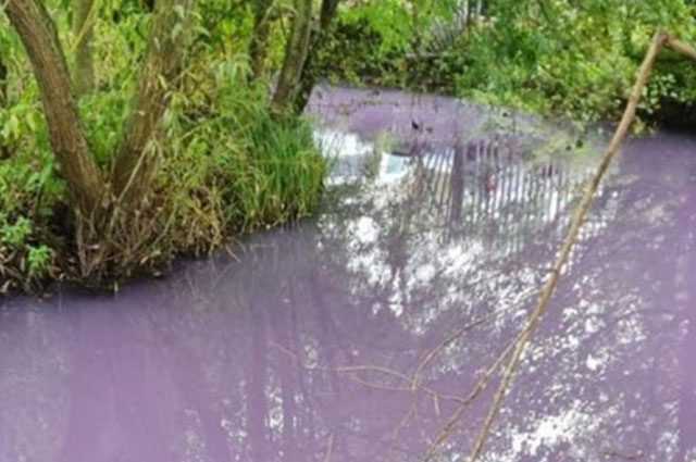 Une rivière a changé de couleur à cause de la pollution : elle est désormais violette 1 Une Rivière A Changé De Couleur à Cause De La