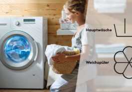 Symboles Sur Le Lave Linge : À Travers La Jungle Des Programmes