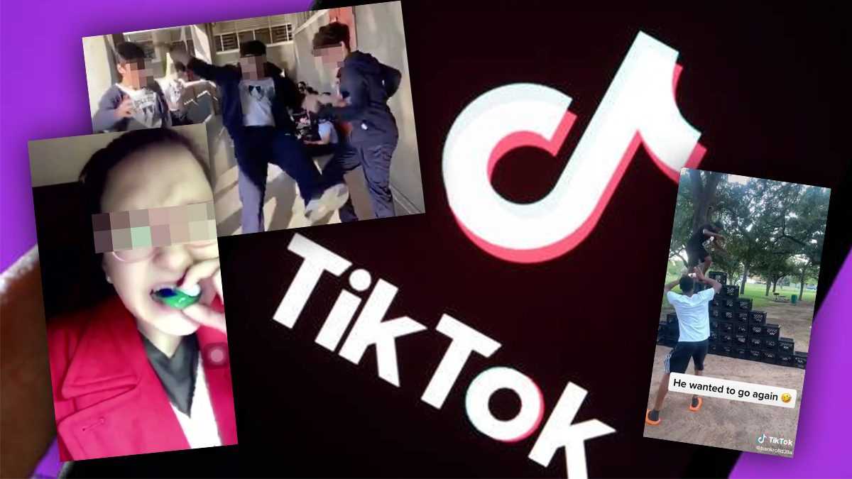 Tiktok : "nous Travaillons Sur La Façon D'intercepter Rapidement Les