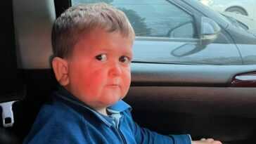 L'histoire Du Mème De L'enfant Inconsolable Dans La Voiture :