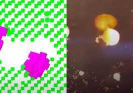 Les robots se reproduisent désormais : ces xénobots peuvent donner naissance à de nouveaux organismes 34 Les Robots Se Reproduisent Désormais : Ces Xénobots Peuvent Donner