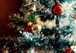 Celui Qui Fait Le Sapin De Noël Tôt Est Une