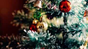 Celui Qui Fait Le Sapin De Noël Tôt Est Une