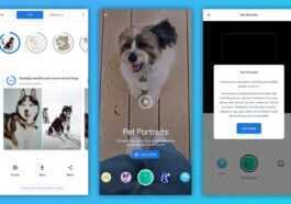 Cette Application Vous Dit à Quoi Ressemble Votre Chien