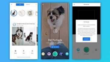 Cette Application Vous Dit à Quoi Ressemble Votre Chien
