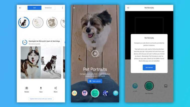 Cette application vous dit à quoi ressemble votre chien 1 Cette Application Vous Dit à Quoi Ressemble Votre Chien