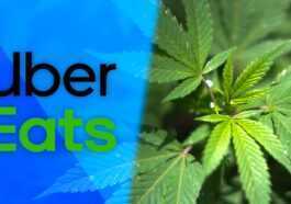 Dans L'application Uber Eats Vient L'achat De Cannabis Légal
