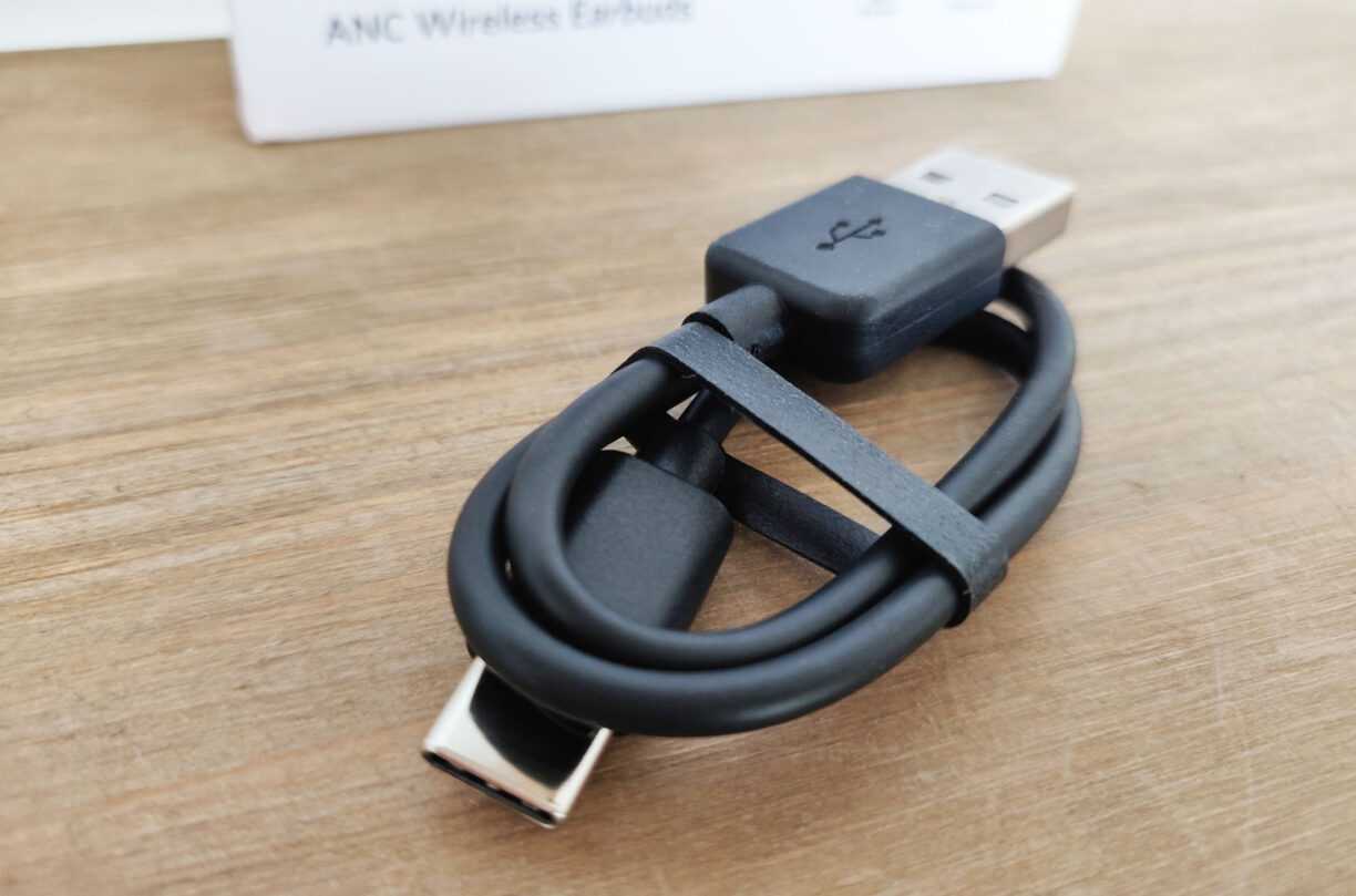 Earfun Free Pro 2 Cable Usb C