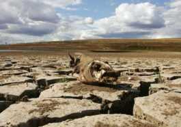 Le Changement Climatique Expliqué En Termes Simples