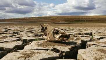 Le Changement Climatique Expliqué En Termes Simples