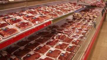 Le Liquide Rouge Que Vous Voyez Dans Les Emballages De