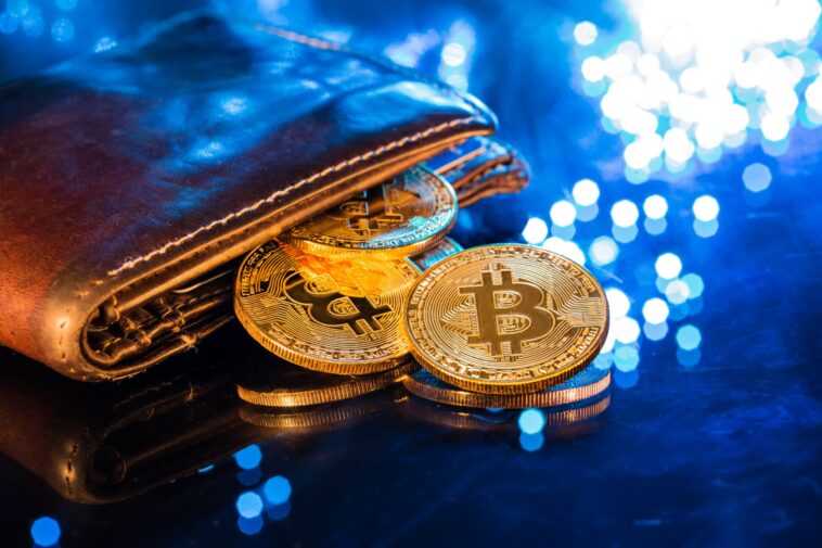 Le nouveau maire de New York veut que ses trois premiers chèques de paie soient payés en Bitcoin 1 Le Nouveau Maire De New York Veut Que Ses Trois