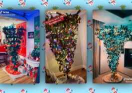 Sur Tiktok Les Sapins C'est L'inverse : C'est La Dernière