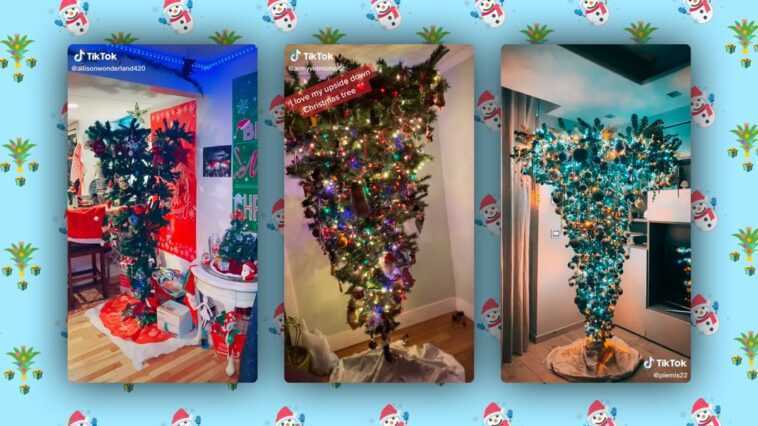 Sur TikTok les sapins c'est l'inverse : c'est la dernière tendance du réseau social 1 Sur Tiktok Les Sapins C'est L'inverse : C'est La Dernière