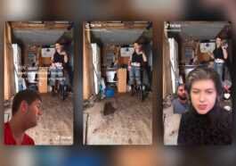Elle voulait juste danser, mais TikTok a décidé qu'elle était une tueuse en série : l'histoire absurde de Sabrina Prater 77 Elle Voulait Juste Danser, Mais Tiktok A Décidé Qu'elle était