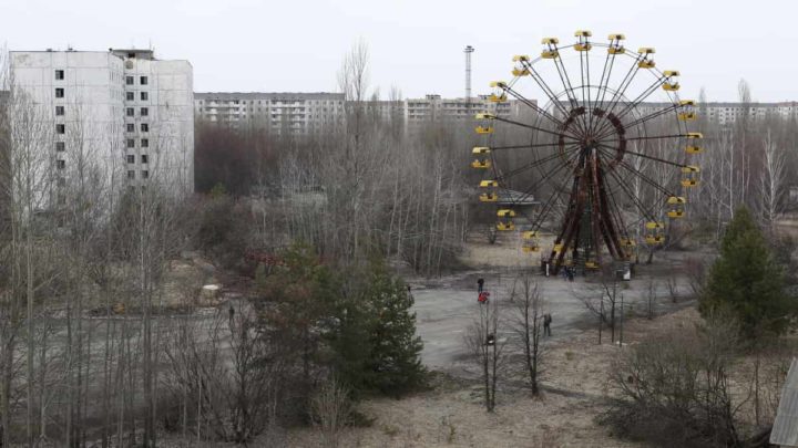 De mystérieux petits vers à Tchernobyl semblent avoir une immunité incroyable à la radiation 1 De mystérieux petits vers à Tchernobyl semblent avoir une immunité incroyable à la radiation