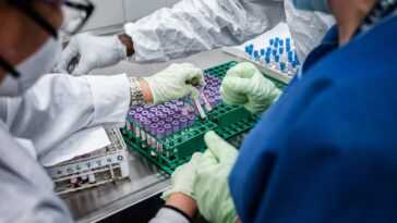 Les Scientifiques Avaient Donc Prédit Certaines Des Mutations D'omicron