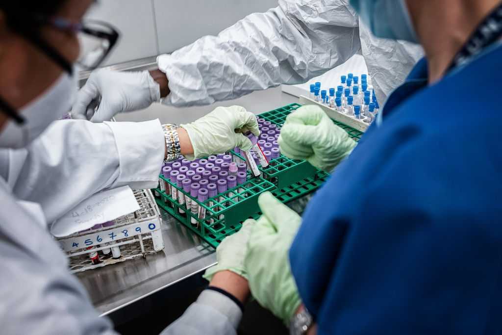 Les Scientifiques Avaient Donc Prédit Certaines Des Mutations D'omicron