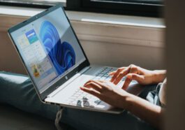 La Dernière Enquête Steam Montre Que 1 Participant Sur 5