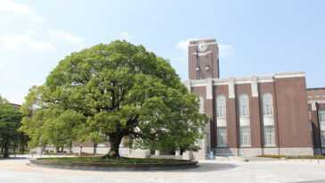 Une Université Japonaise Perd 77 To De Données De Recherche
