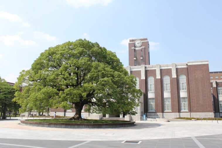 Une université japonaise perd 77 To de données de recherche à la suite d'une mise à jour logicielle boguée 1 Une Université Japonaise Perd 77 To De Données De Recherche
