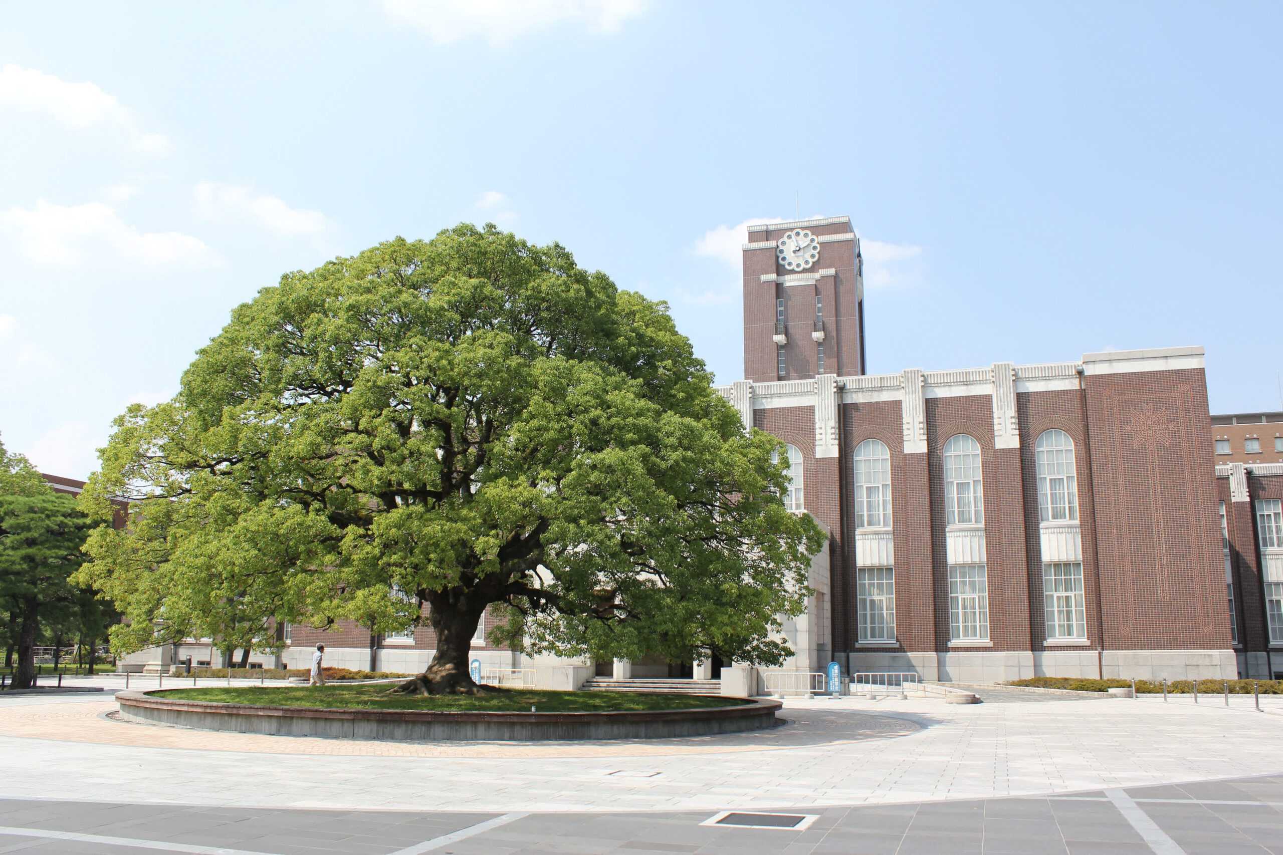 Une Université Japonaise Perd 77 To De Données De Recherche