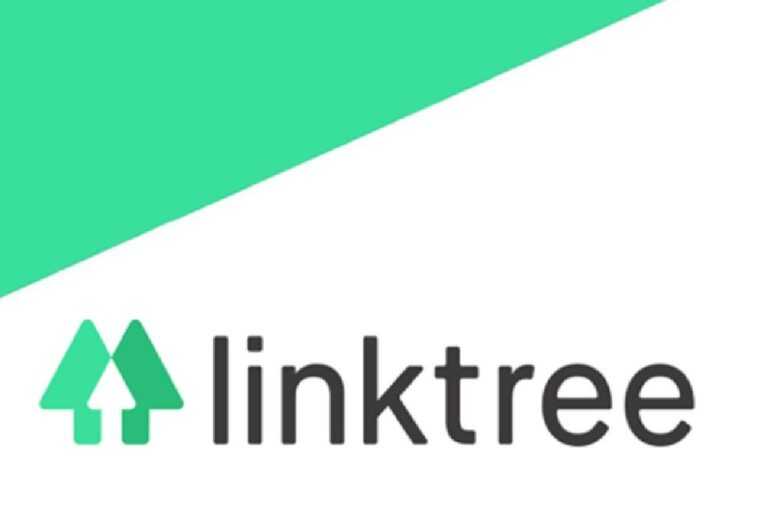 Linktree interdit les profils de travailleuses du sexe (y compris OnlyFans) 1 Linktree Interdit Les Profils De Travailleuses Du Sexe (y Compris