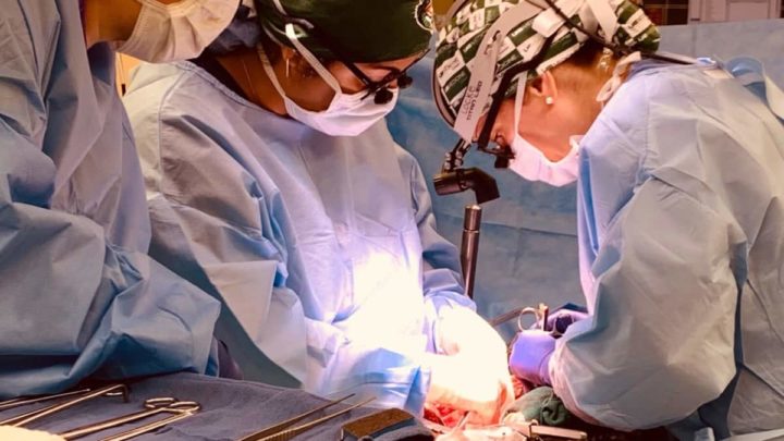 L'espace rétrécit-il les reins ? Une étude réalisée chez les rats remet en question le voyage vers Mars 3 Cirurgiões transplantaram rins de porco para paciente em morte cerebral