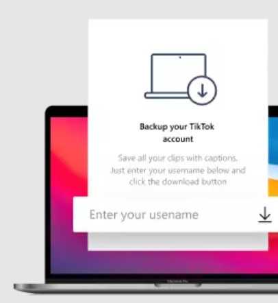Comment télécharger les vidéos TikTok avec 4K Tokkit 3 4k Tokkit Download Profil Tiktok