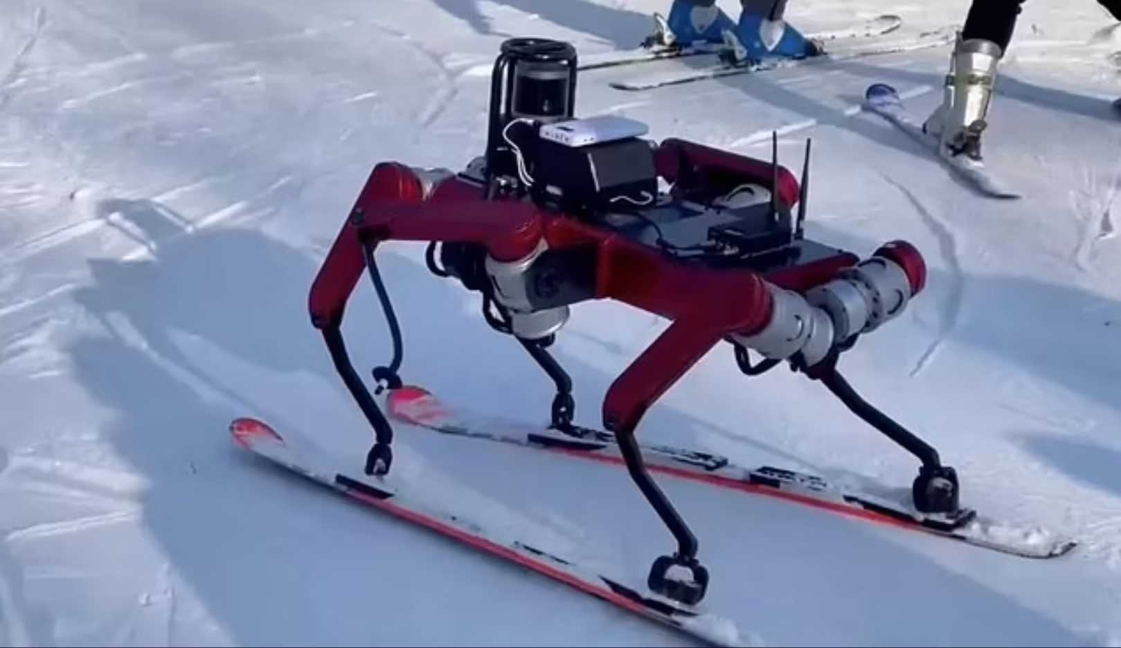 Ce Robot à Six Pattes Est Capable De Skier