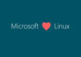 Hébergement Pour Windows, Les Différences Avec Linux
