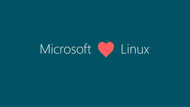 Hébergement pour Windows, les différences avec Linux 1 Hébergement Pour Windows, Les Différences Avec Linux
