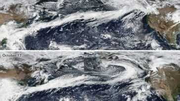 Le Changement Climatique Crée Des "rivières Dans Le Ciel": Ce