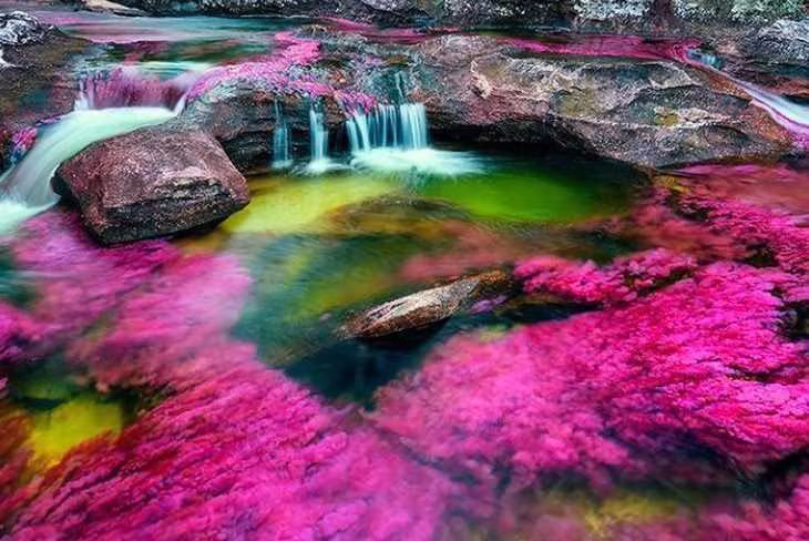 Le secret de la rivière qui devient arc-en-ciel sur 90 kilomètres de long 1 Le Secret De La Rivière Qui Devient Arc En Ciel Sur 90