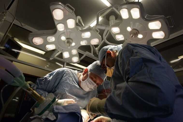Les reins d'un porc génétiquement modifié ont été transplantés chez un homme en état de mort cérébrale 1 Les Reins D'un Porc Génétiquement Modifié Ont été Transplantés Chez