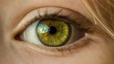 Les Yeux Peuvent Révéler Le Véritable âge D'une Personne :