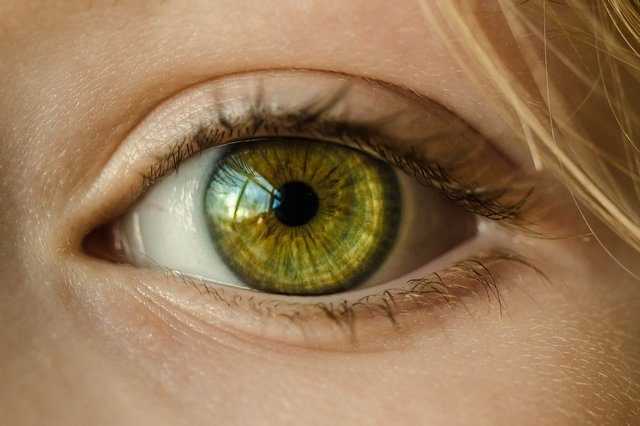 Les yeux peuvent révéler le véritable âge d'une personne : découverte 1 Les Yeux Peuvent Révéler Le Véritable âge D'une Personne :