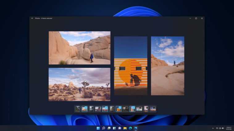 Microsoft travaillerait sur une nouvelle application Photos pour Windows 11 1 Microsoft Travaillerait Sur Une Nouvelle Application Photos Pour Windows 11