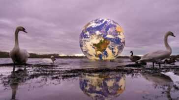Nous Savons Maintenant Comment La Vie Sur Terre A Pu