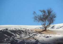 Parce Que La Neige Dans Le Désert Du Sahara Est