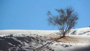 Parce Que La Neige Dans Le Désert Du Sahara Est