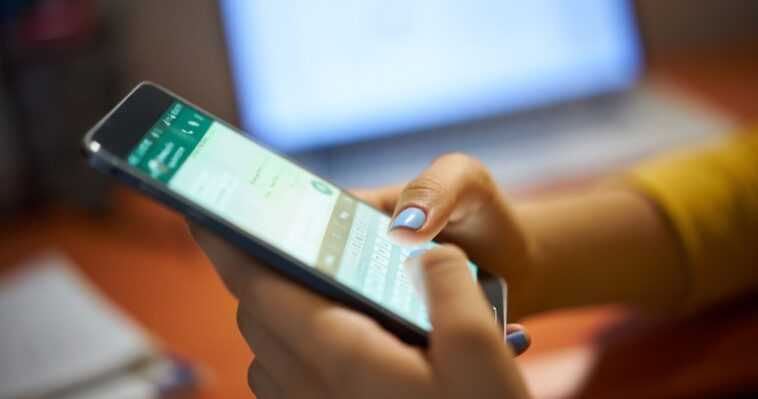 Business en ligne : que faire pour débuter en e-commerce en 2024 ? 1 Pourquoi votre entreprise a besoin de WhatsApp Business : voici tous ses avantages