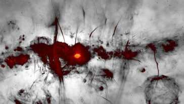 Un Millier De Mystérieux Filaments Magnétiques Découverts Au Cœur De