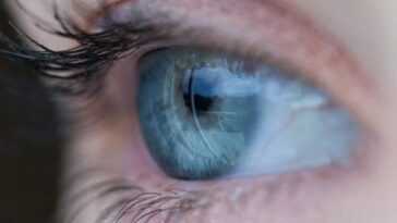 Vos Yeux Peuvent Dire à L'avance Si Vous Risquez Une