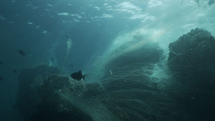 Alors, pourquoi faisons-nous la différence entre mers et océans ? 5 1644239106 2 Samsung le prochain Galaxy sera fabrique en partie a