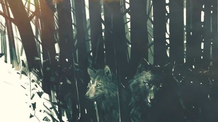 Les vétérans de CD Projekt Red dirigent le nouveau studio de jeu indépendant Rebel Wolves 1 Les Vétérans De Cd Projekt Red Dirigent Le Nouveau Studio