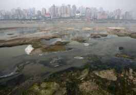 De La Tamise Au Fleuve Amazone, La Drogue Pollue Les