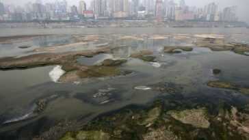 De La Tamise Au Fleuve Amazone, La Drogue Pollue Les