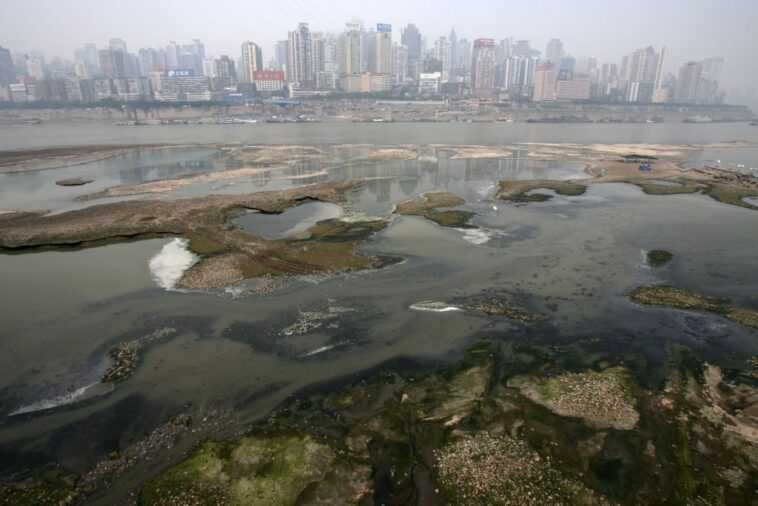 De la Tamise au fleuve Amazone, la drogue pollue les fleuves du monde entier 1 De La Tamise Au Fleuve Amazone, La Drogue Pollue Les